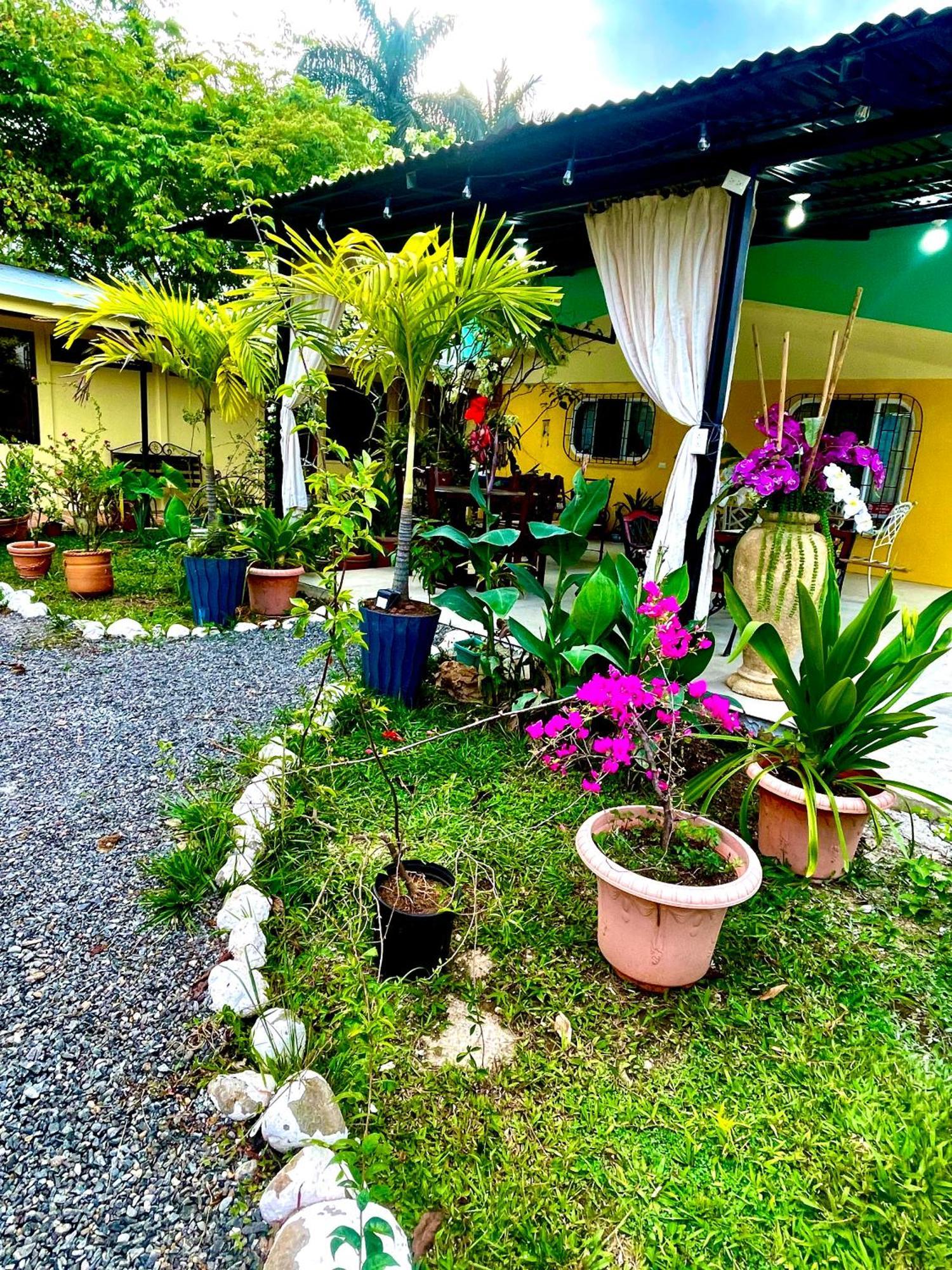 Hotel Tierra De Volcanes La Fortuna Kültér fotó