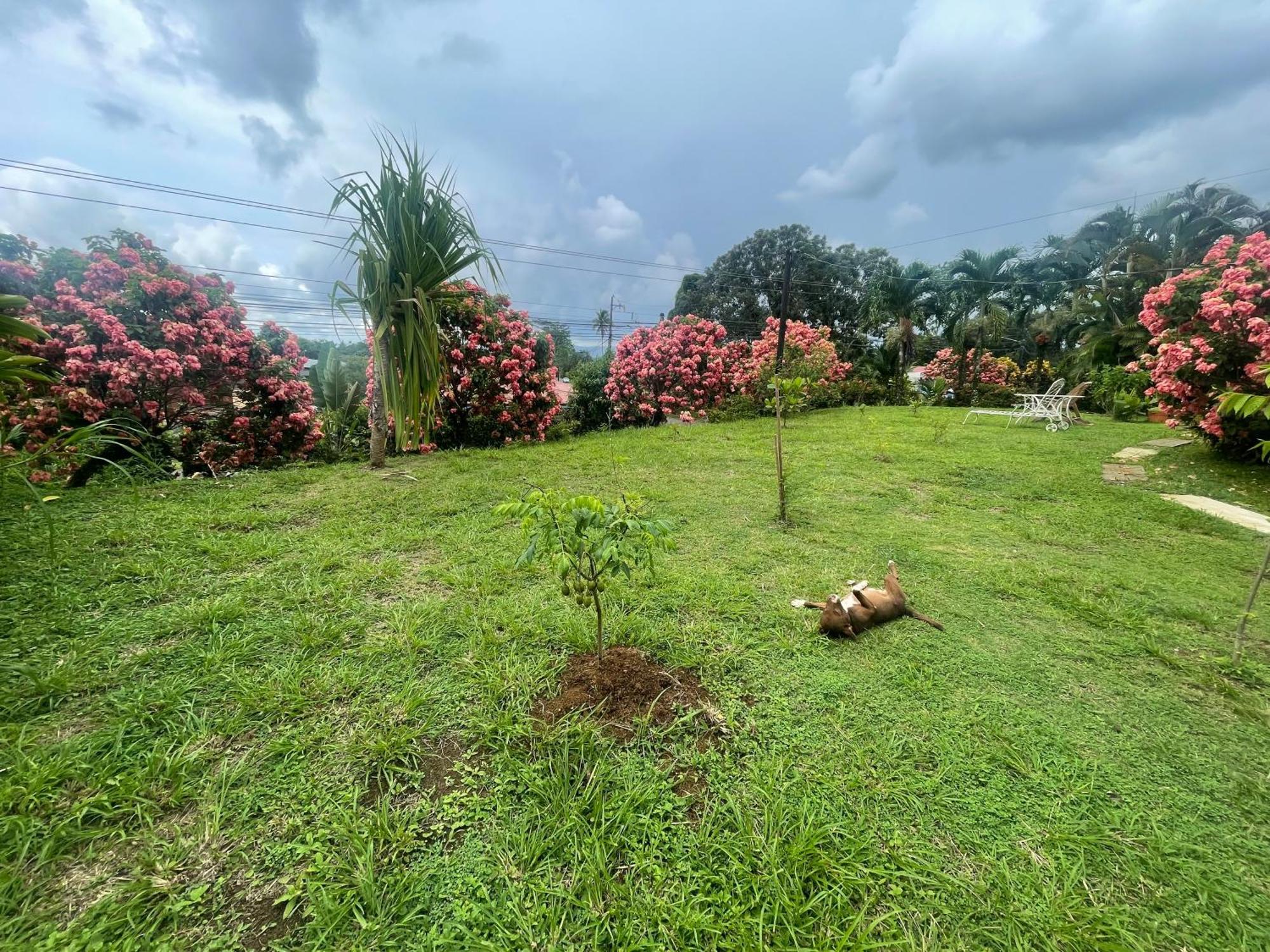 Hotel Tierra De Volcanes La Fortuna Kültér fotó